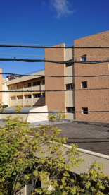 新潟市立白山小学校の画像1