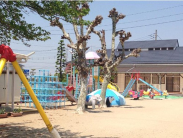 不動岡保育園の画像1