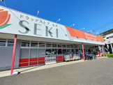 ドラッグストア セキ 沼南店