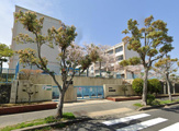 鵯台中学校
