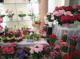 株式会社サクラヤ花店の画像