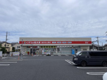 くすりの福太郎逆井店
