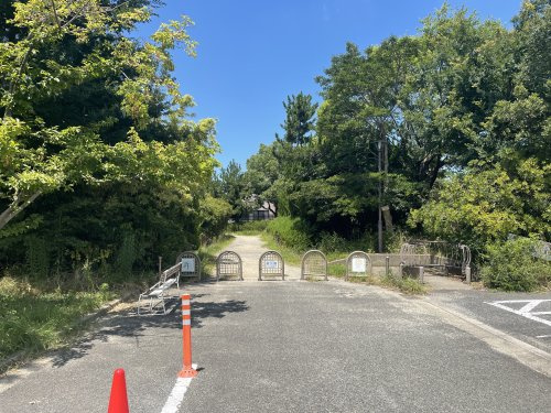 の画像