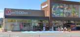 ヤングドライ ヤマナカ小田井店