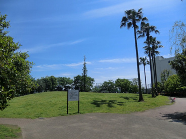 豊海運動公園の画像4