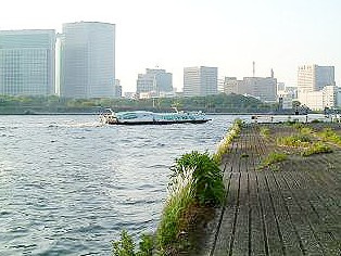 豊海運動公園の画像5