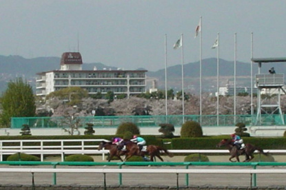 阪神競馬場の画像1