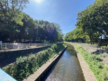 善福寺川緑地の画像1
