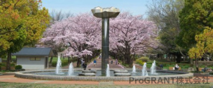 府中公園の画像1