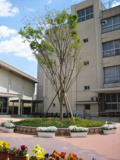 大阪市立 湯里小学校