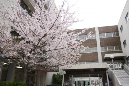 大阪市立 矢田北小学校の画像1