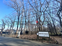 藤原市民の森緑地