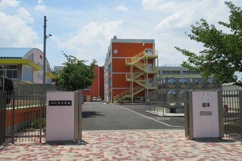 の画像