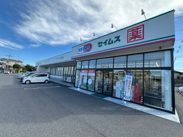 ドラッグセイムス大網みずほ台店の画像1