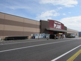 PLANT(プラント) 淡路店