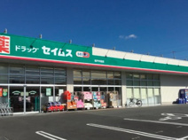 ドラッグセイムス 坂戸中富店