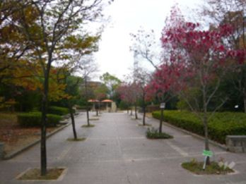 すみれガ丘中央公園の画像1