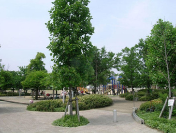 高木公園の画像1