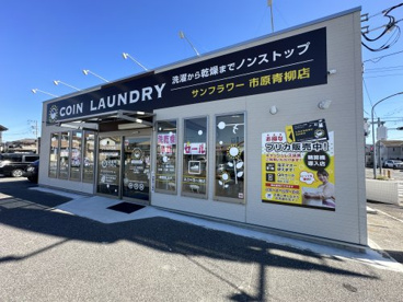 サンフラワー　市原青柳店の画像1