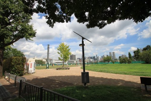 南台いちょう公園の画像