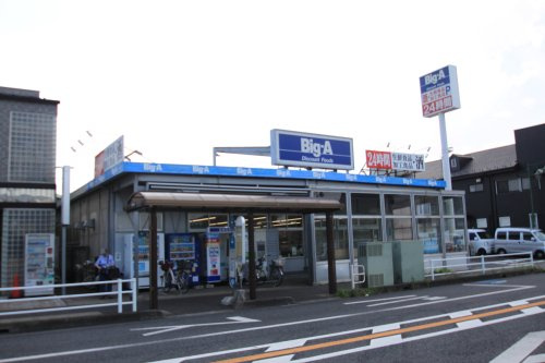の画像