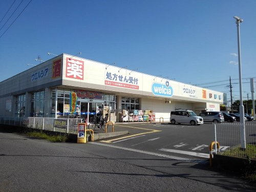 の画像