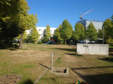 今井公園の画像1
