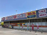 ドラッグセガミ城東店
