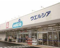 ウエルシア　鴻巣本町6丁目店
