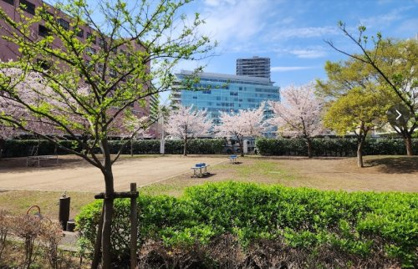 蔵前公園の画像1
