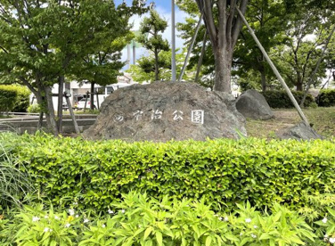 西宇治公園(プール)の画像4