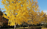 八戸の里公園