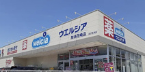 ウエルシア　加須花崎店