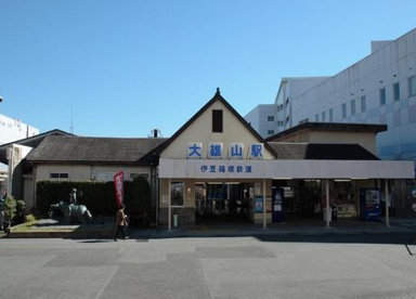 大雄山線『大雄山』駅の画像1