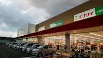 業務スーパー エブリイ 岡山大安寺店