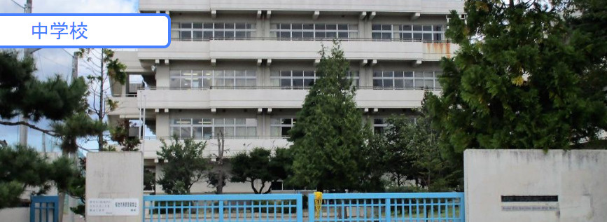の画像