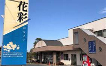 花彩