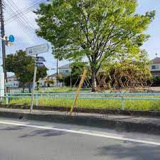 ひばり野ふじ公園