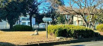 上生出塚4号公園の画像1