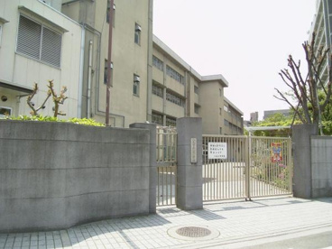 八尾市立八尾小学校の画像1