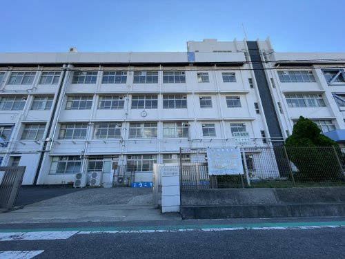 の画像