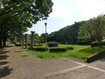 等々力緑地の画像2