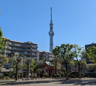 若宮公園の画像1