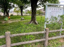 南ふれあい公園