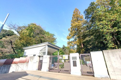 小石川植物園の画像1