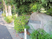 上野毛自然公園