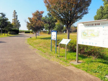 公園 二子玉川公園