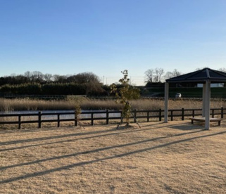 永府公園の画像1