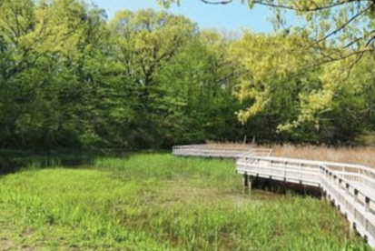 北本自然観察公園の画像1