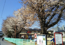 北本2丁目公園